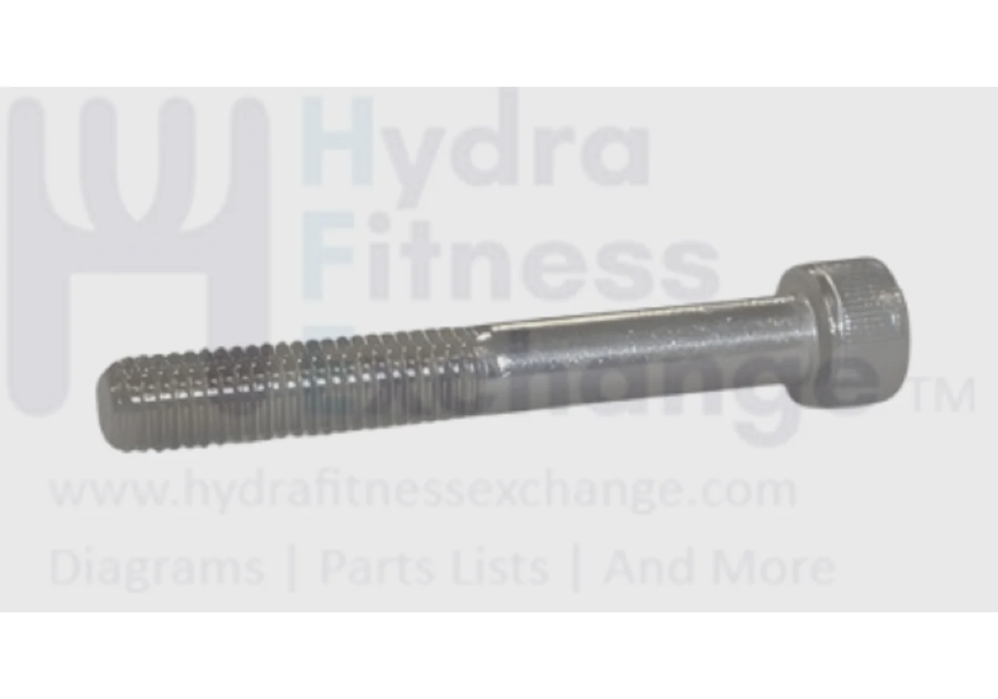 Matrix Fitness Stationary Bike Round Head Hex Socket Screw M8 - 1.25P x 60L 1000301941