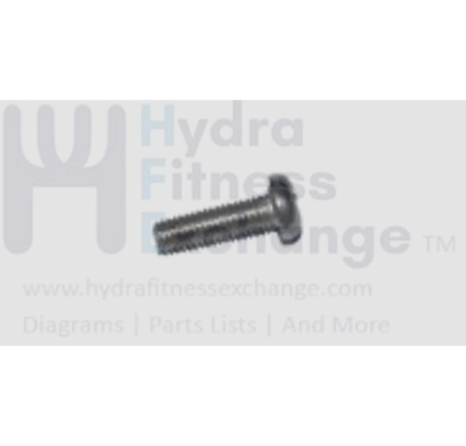 Matrix Fitness Stationary Bike Round Head Phillip Screw M3 - 0.5P x 10L 004338-AB