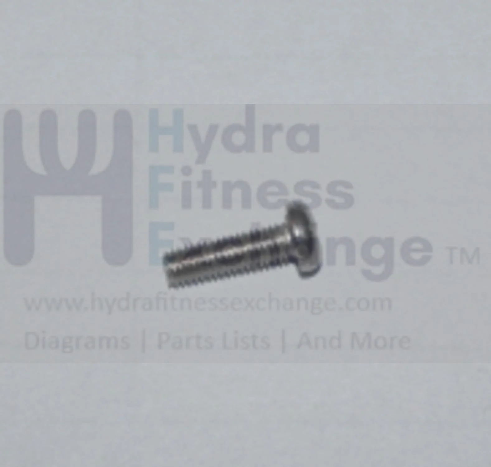 Matrix Fitness Stationary Bike Round Head Phillip Screw M3 - 0.5P x10L 004338-AB - Image 2