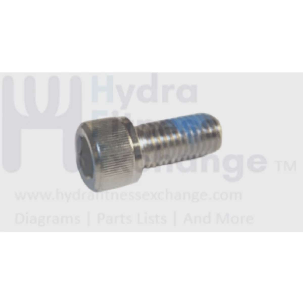 Matrix Fitness Stationary Bike Round Hex Socket Screw M12- 1.75P x 25L 004553-AB