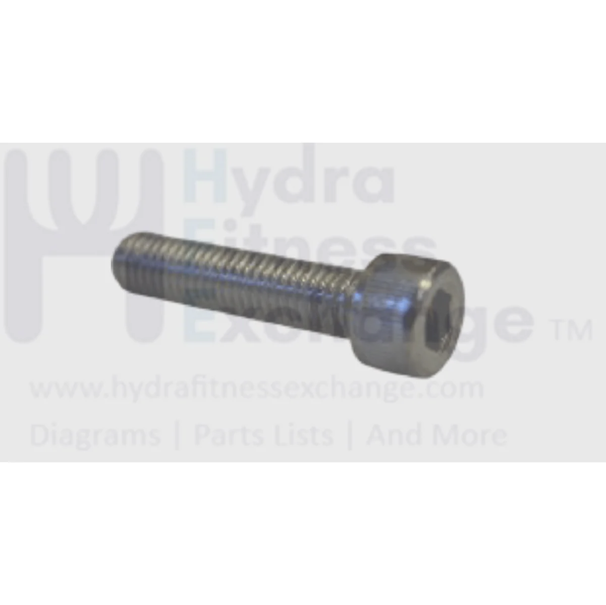 Matrix Fitness Stepper Step Hex Head Socket Screw M8 - 1.25P x 35L 1000212092