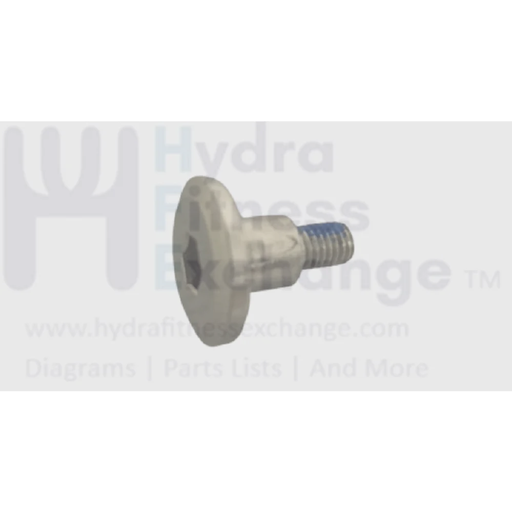 Matrix Fitness Stepper Step Hex Socket Screw M5 - 0.8P x 15L 1000400074