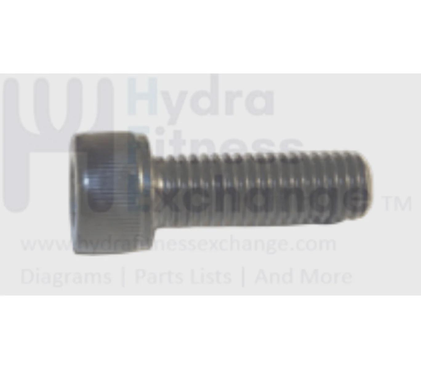 Matrix Fitness Stepper Step Round Head Hex Socket Screw M10 - 1.5P x 30L 004515-00