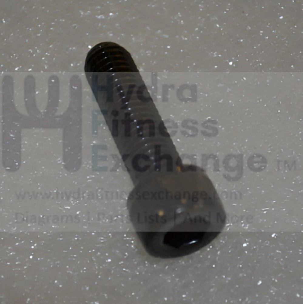 Matrix Fitness Stepper Step Round Head Hex Socket Screw M10 - 1.5P x 35L 1000230607 - Image 2
