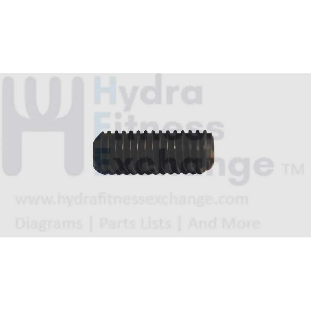 Matrix Fitness Stepper Step Screw M6 - 1.0P x 16.0L 004844-00