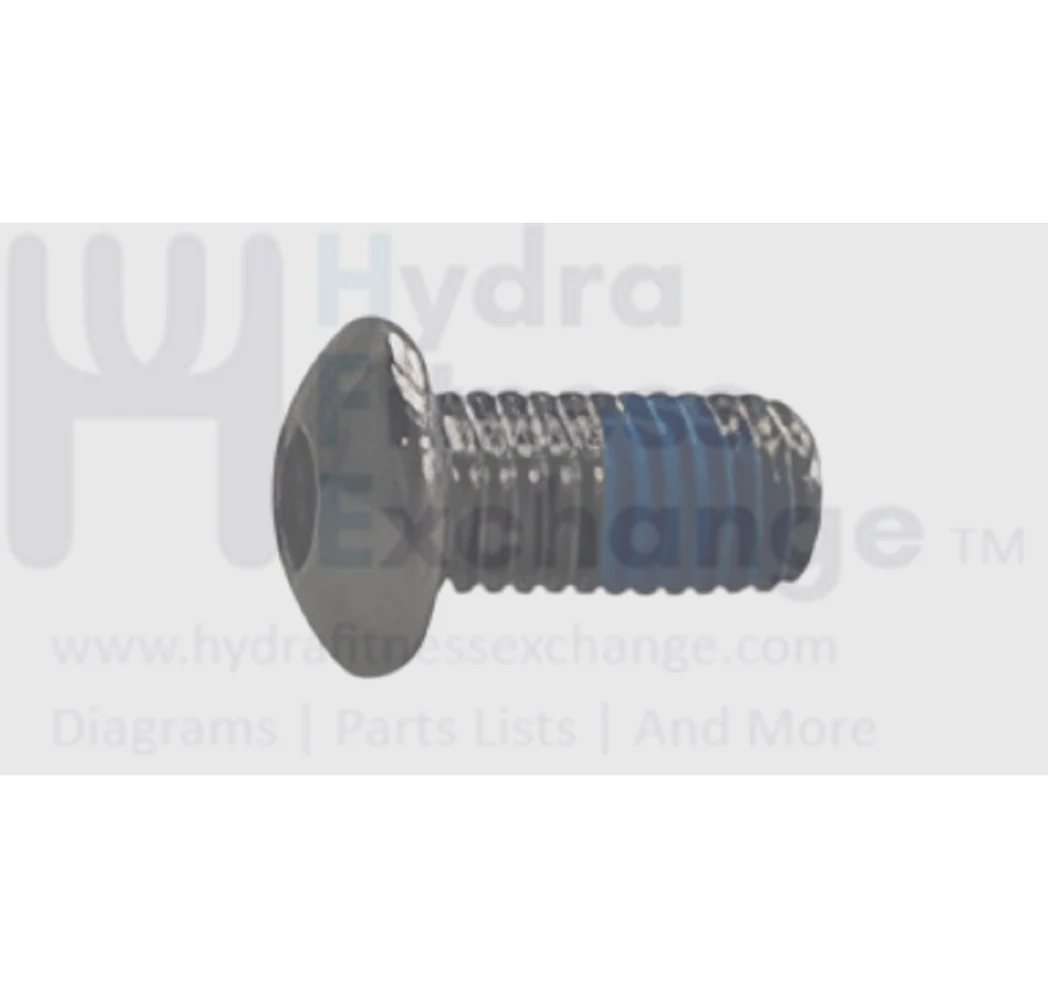 Matrix Fitness Strength System Button Head Hex Socket Screw M10 - 1.5P x 20L 020294-00
