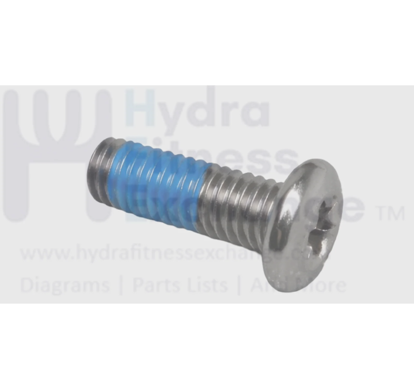 Matrix Fitness Strength System Button Head Hex Socket Screw M4 - 0.7P x 10L 1000201047