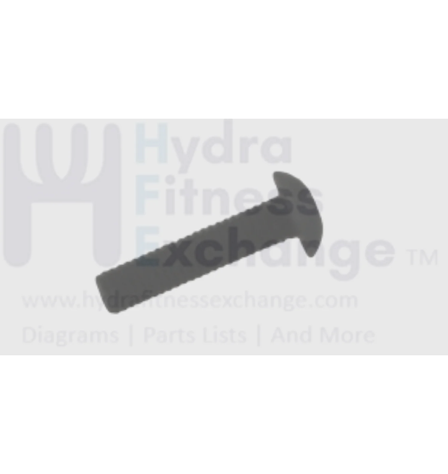 Matrix Fitness Strength System Button Head Hex Socket Screw M5 x 20L 1000096178