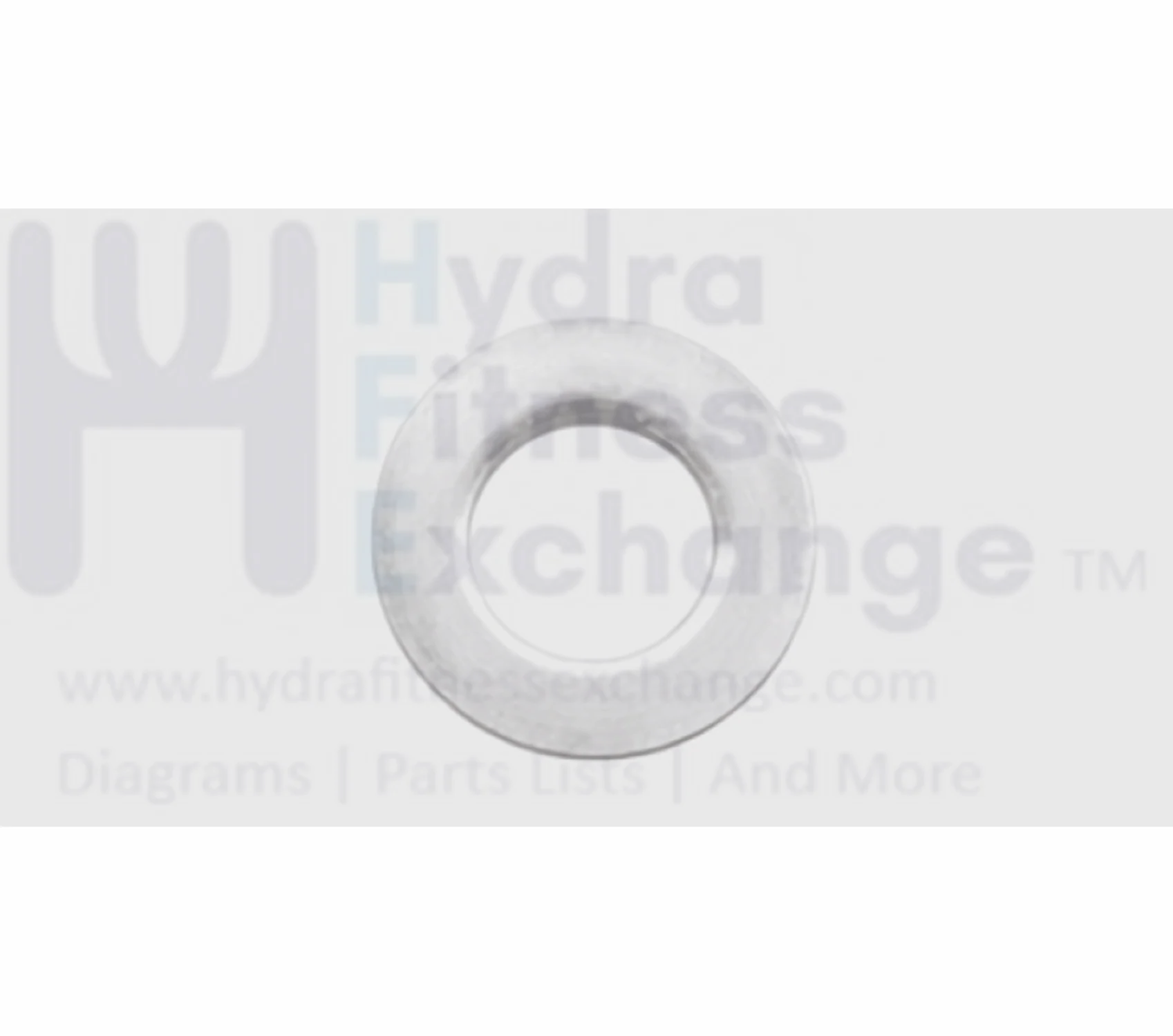 Matrix Fitness Strength System Chrome Flat Washer 4.3 x 8 x 0.8T 1000201046