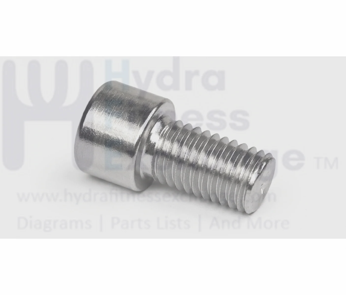 Matrix Fitness Strength System Chrome Round Head Hex Socket Screw M10 - 1.5P x 15L 1000108806 - Image 2