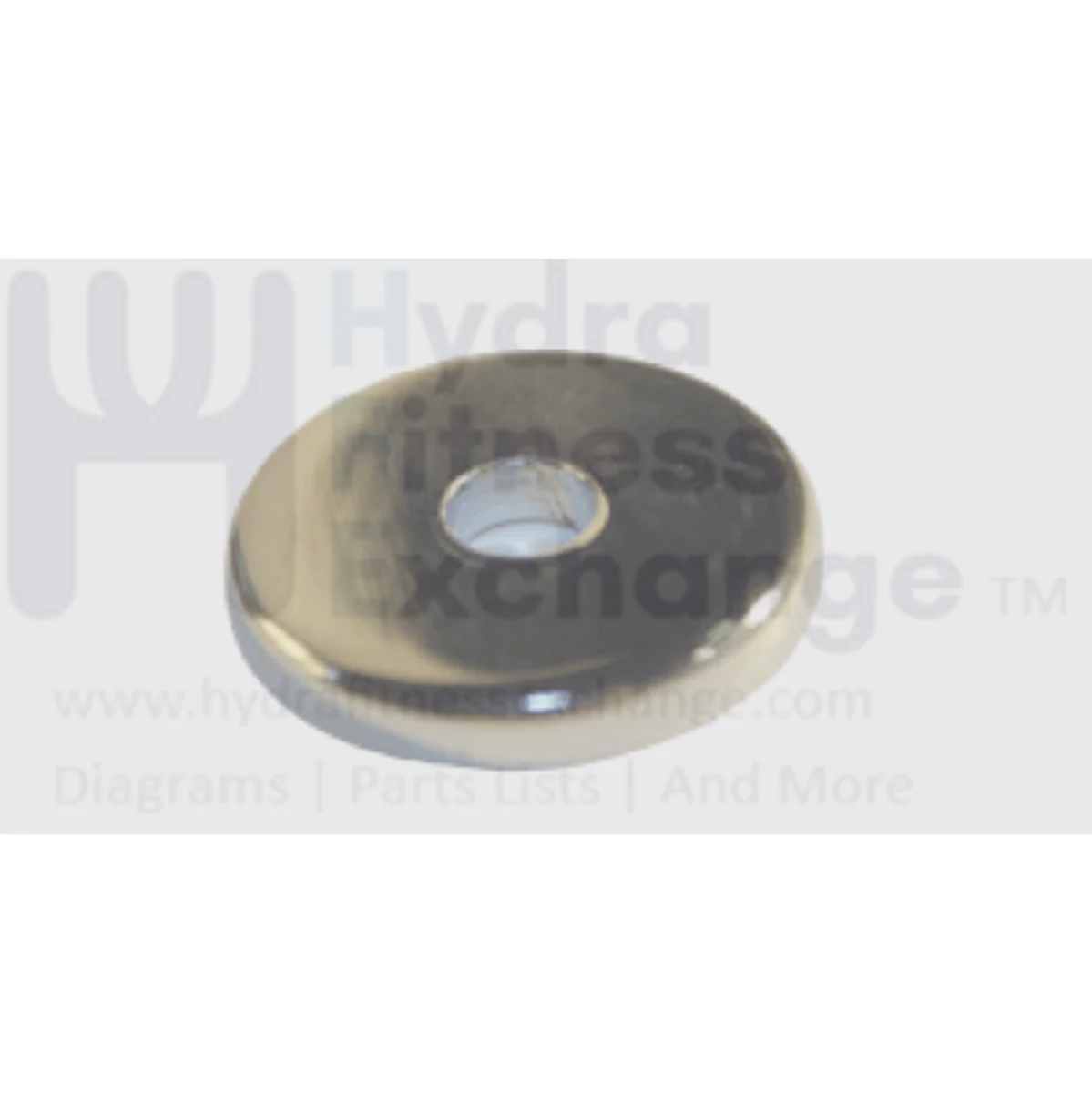 Matrix Fitness Strength System Chromed Grip Washer 009360-AA