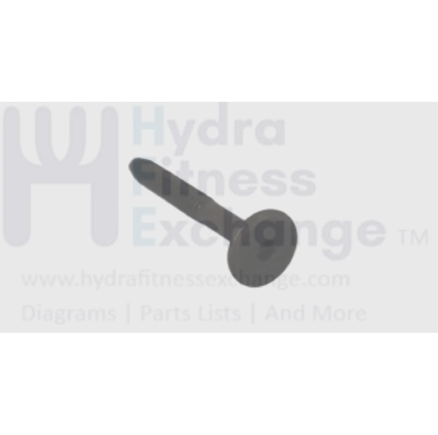 Matrix Fitness Strength System Connector Head Bolt 1/4"-20x50 mm 17mm 1000346090