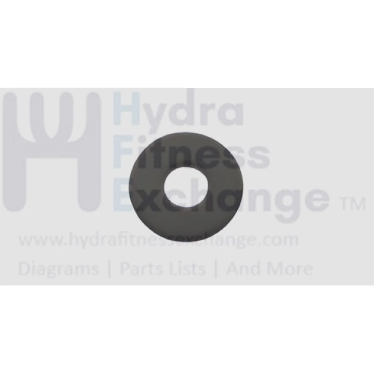 Matrix Fitness Strength System Cr Plate Flat Washer 8.4 x 24 x 2.0t 1000102905