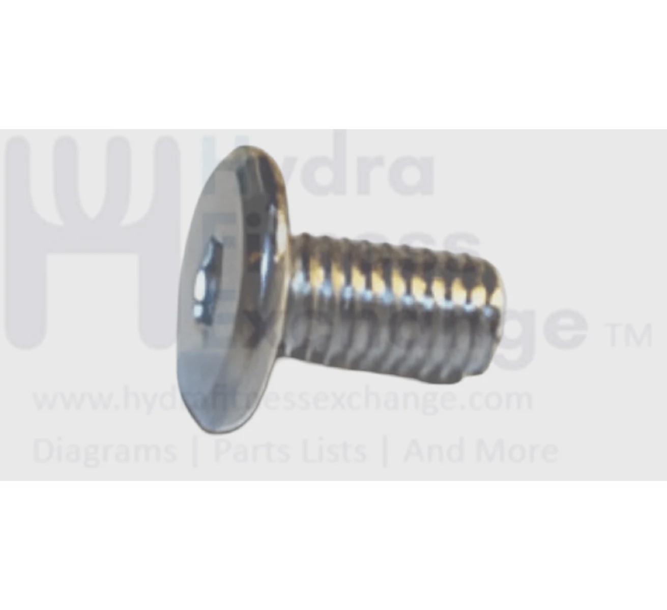 Matrix Fitness Strength System Flat Head Hex Socket Screw M8 - 1.25P x 15L 004693-AD