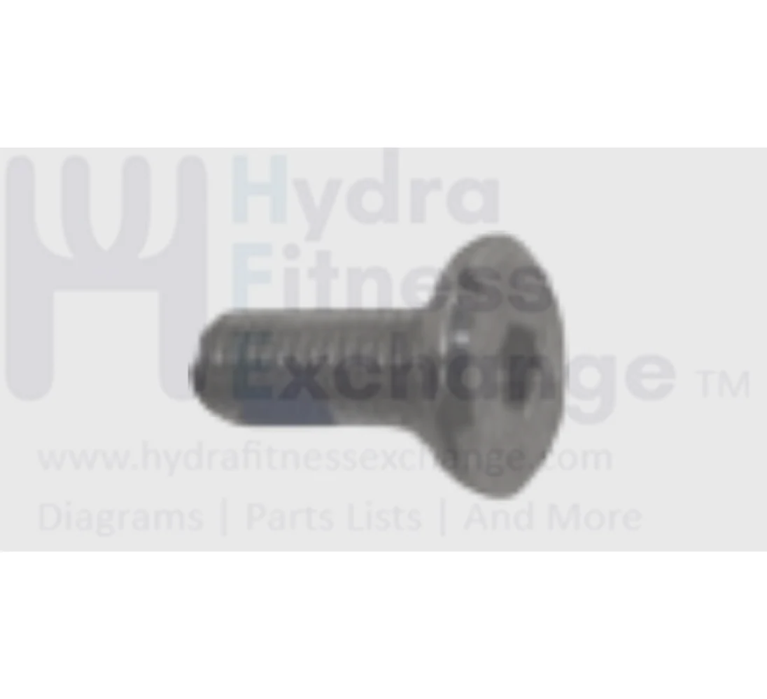 Matrix Fitness Strength System Flat Head Hex Socket Screw M8 - 1.25P x 20L 004703-AF