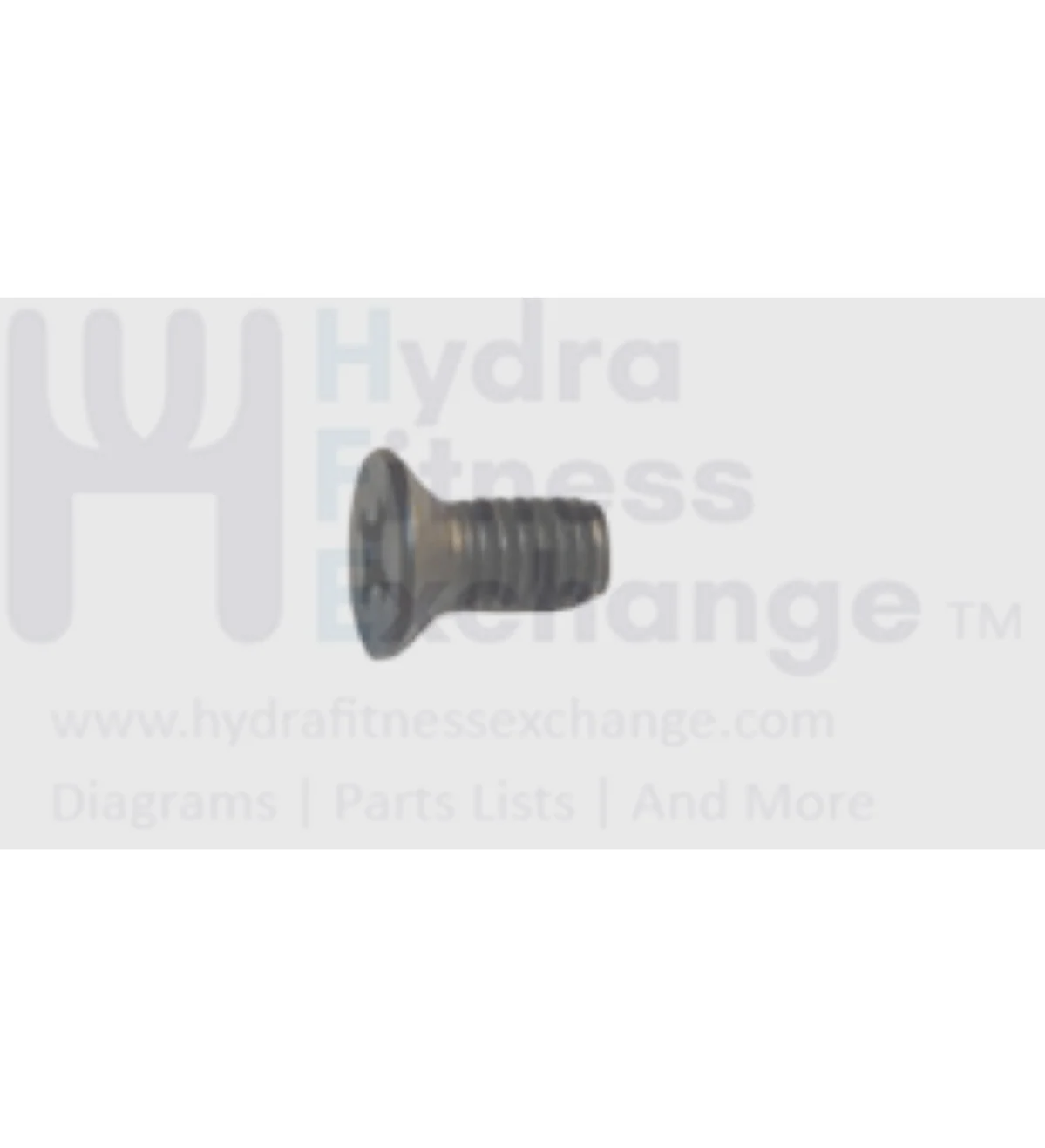 Matrix Fitness Strength System Flat Head Phillips Screw M6 - 1.0P x 12L 004426-00