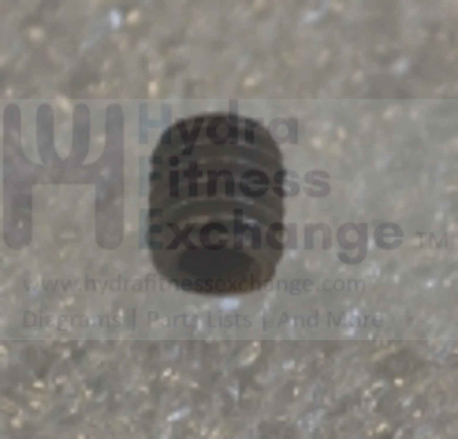 Matrix Fitness Strength System Flat Point Hex Socket Screw M5 - 0.8P x 6L 1000210485 - Image 2