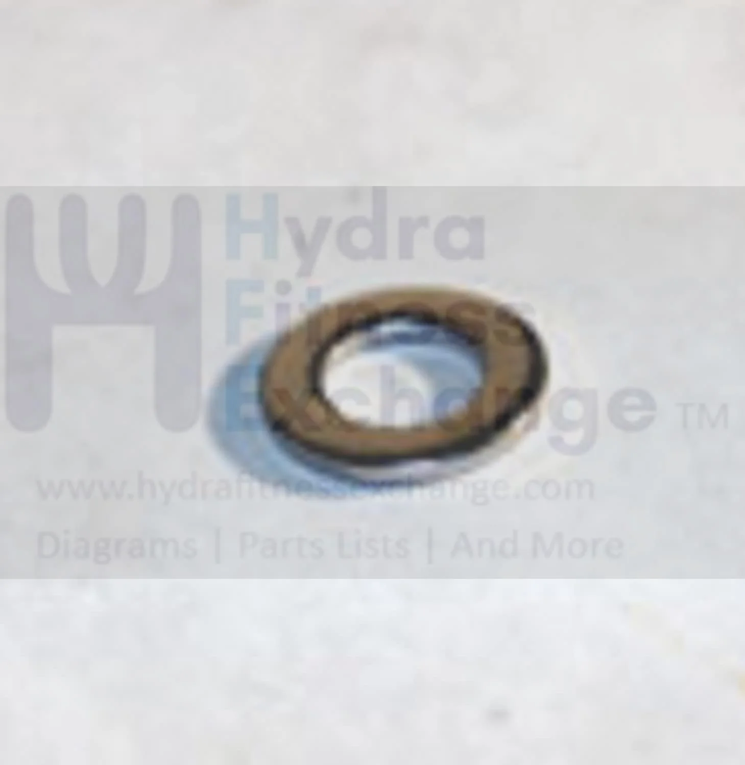 Matrix Fitness Strength System Flat Washer 5.3 x 10.0 x 1.0T 005084-00 - Image 2