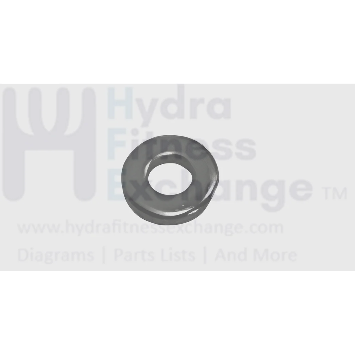 Matrix Fitness Strength System Flat Washer 6.4 x 14.0 x 3.0T 1000204046