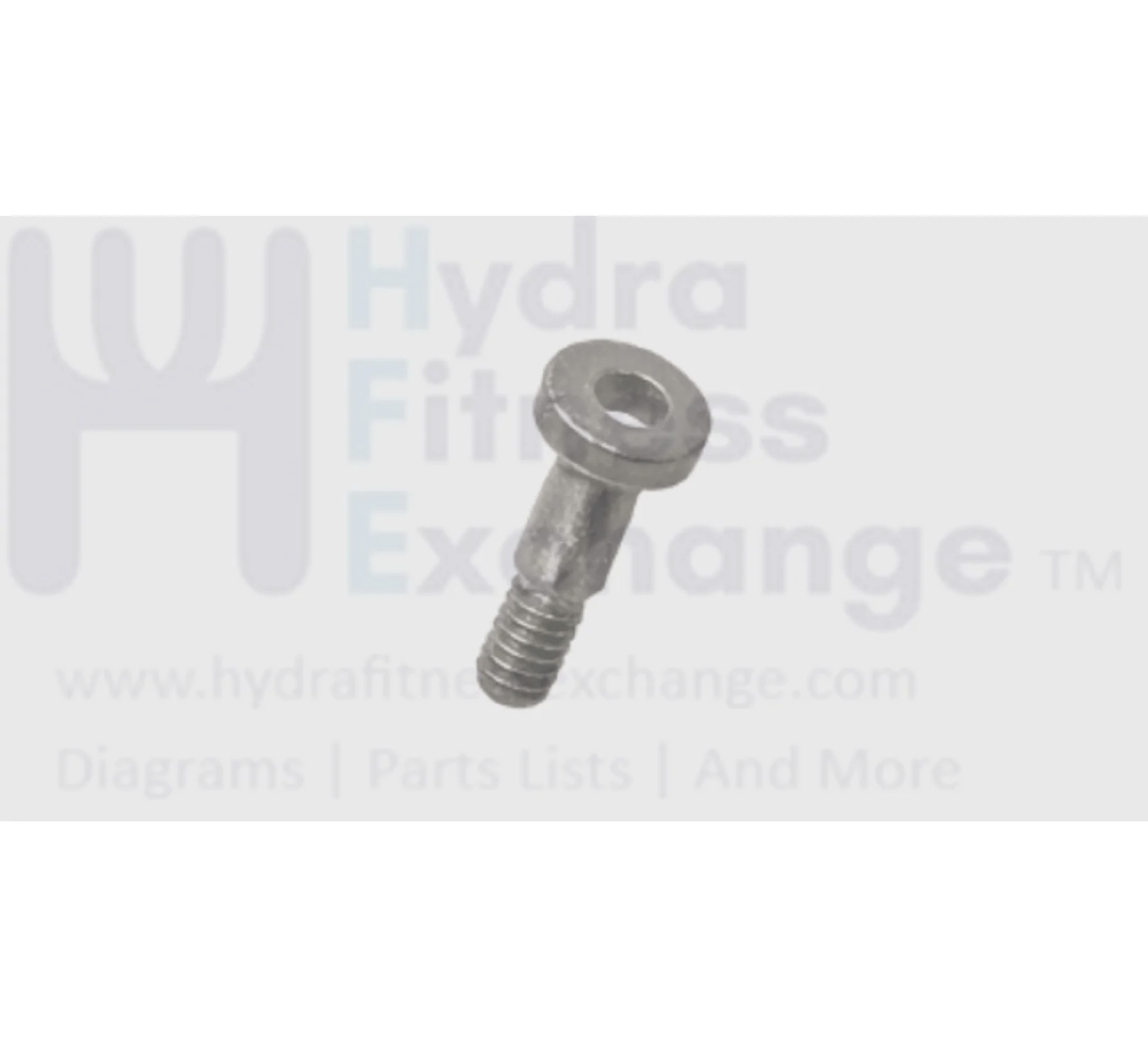 Matrix Fitness Strength System Head Socket Screw 6.5 x 10 1000397669