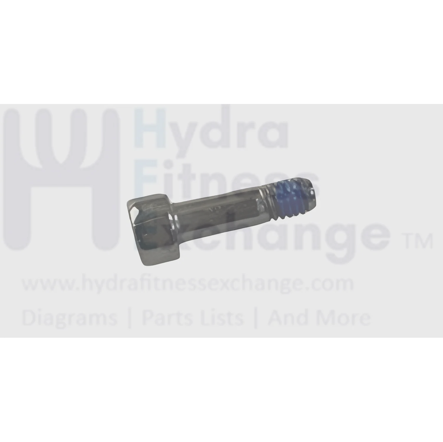 Matrix Fitness Strength System Head Socket Screw M4 - 0.7P x 14L 1000417904