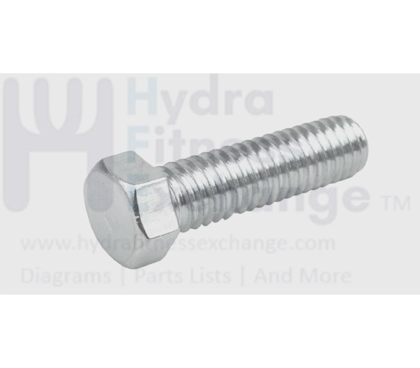 Matrix Fitness Strength System Hex Head Bolt Screw 5/16" x 1 1/2" 1000308448