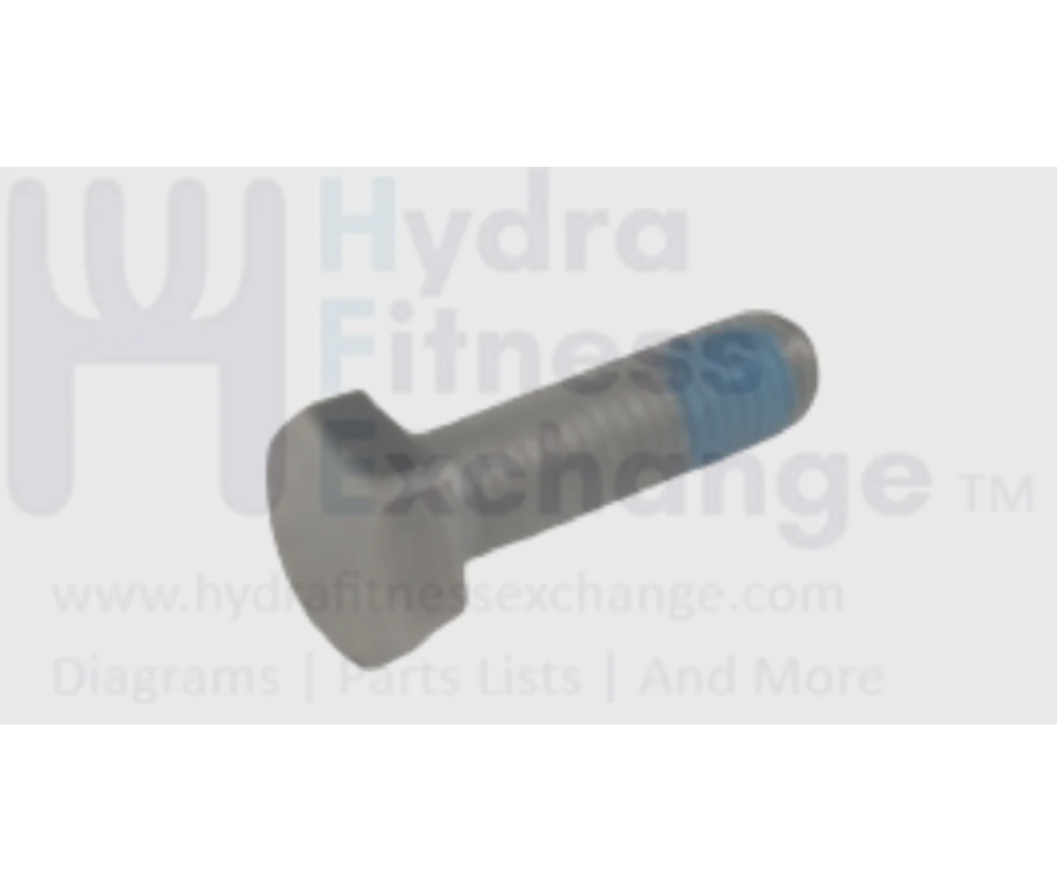 Matrix Fitness Strength System Hex Head Machine Screw M10 - 1.5P x 35L 1000308342