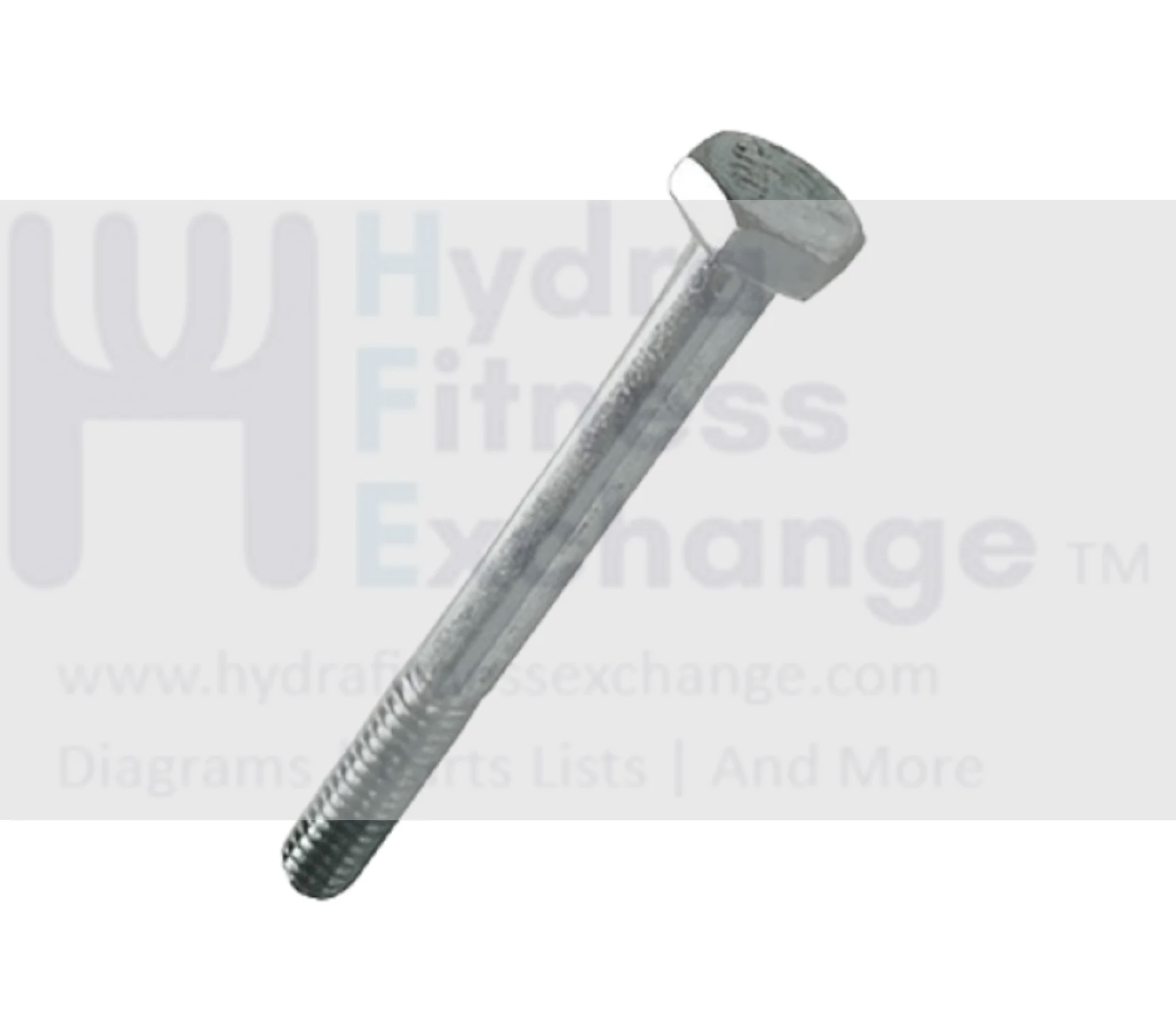 Matrix Fitness Strength System Hex Head Screw 250 - 20 x 2.50 1000312060