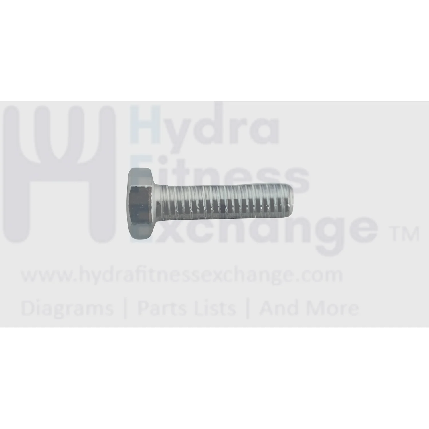 Matrix Fitness Strength System Hex Head Screw .375-16 x 1.25" 1000311963