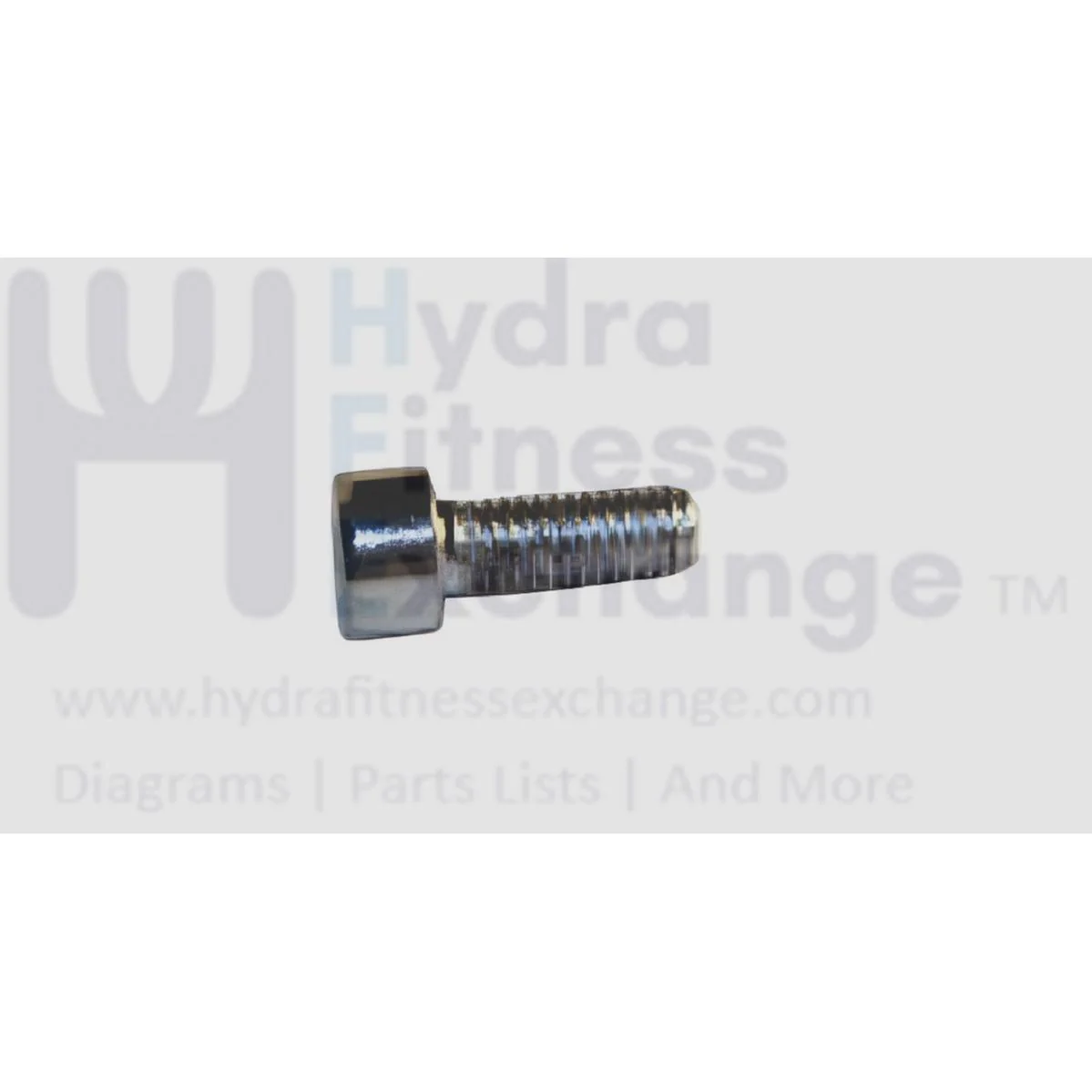 Matrix Fitness Strength System Hex Head Socket Screw M6 - 1.0P x 15L 1000099212