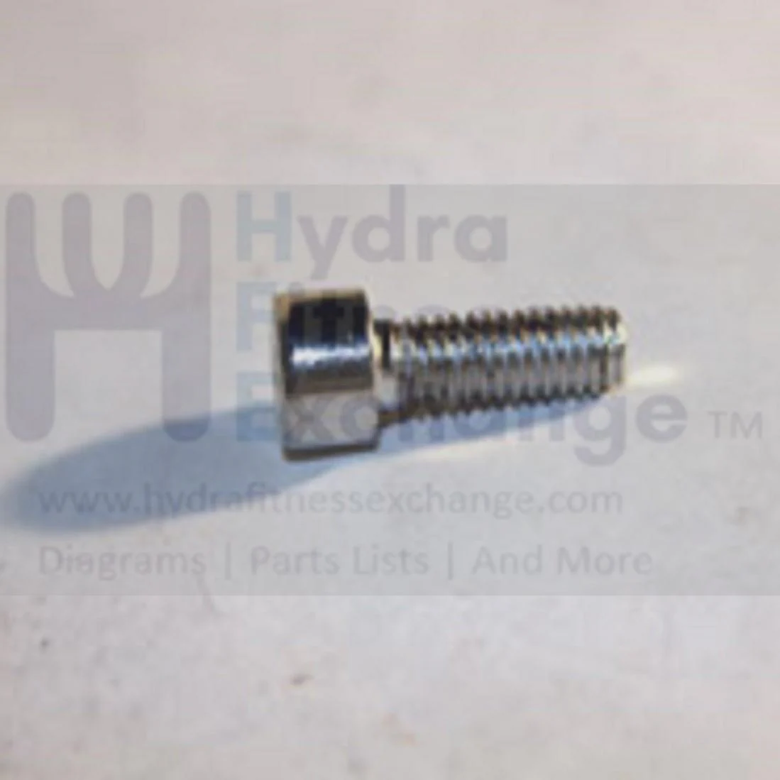 Matrix Fitness Strength System Hex Head Socket Screw M6 - 1.0P x 15L 1000099212 - Image 2