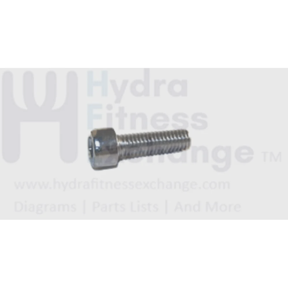 Matrix Fitness Strength System Hex Head Socket Screw M6 x 1.0P x 20L 004460-AF