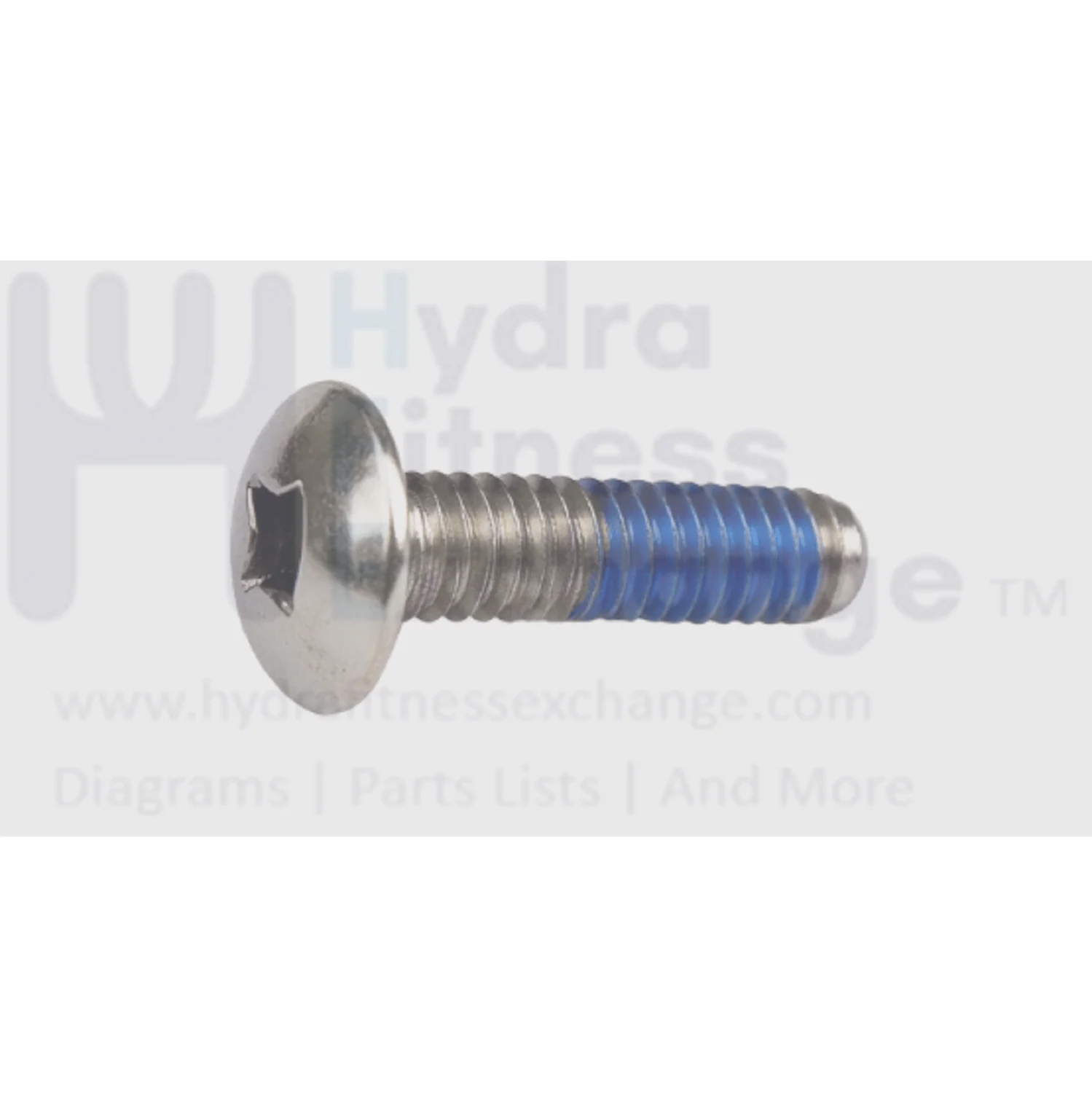 Matrix Fitness Strength System Hex Sink Socket Screw M6-1.0P x 20L 004560-AD
