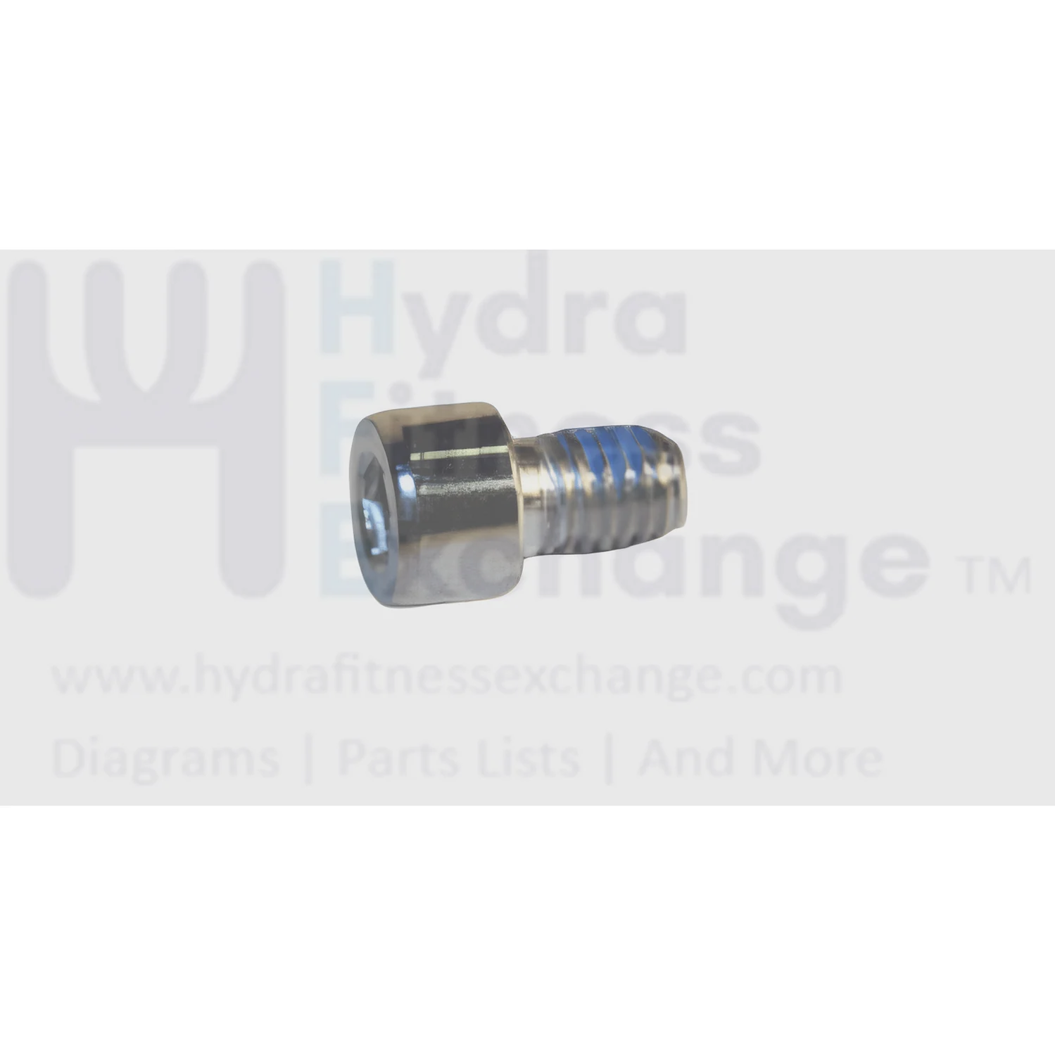 Matrix Fitness Strength System Hex Socket Head Screw M8 - 1.25P x 12L 1000099579