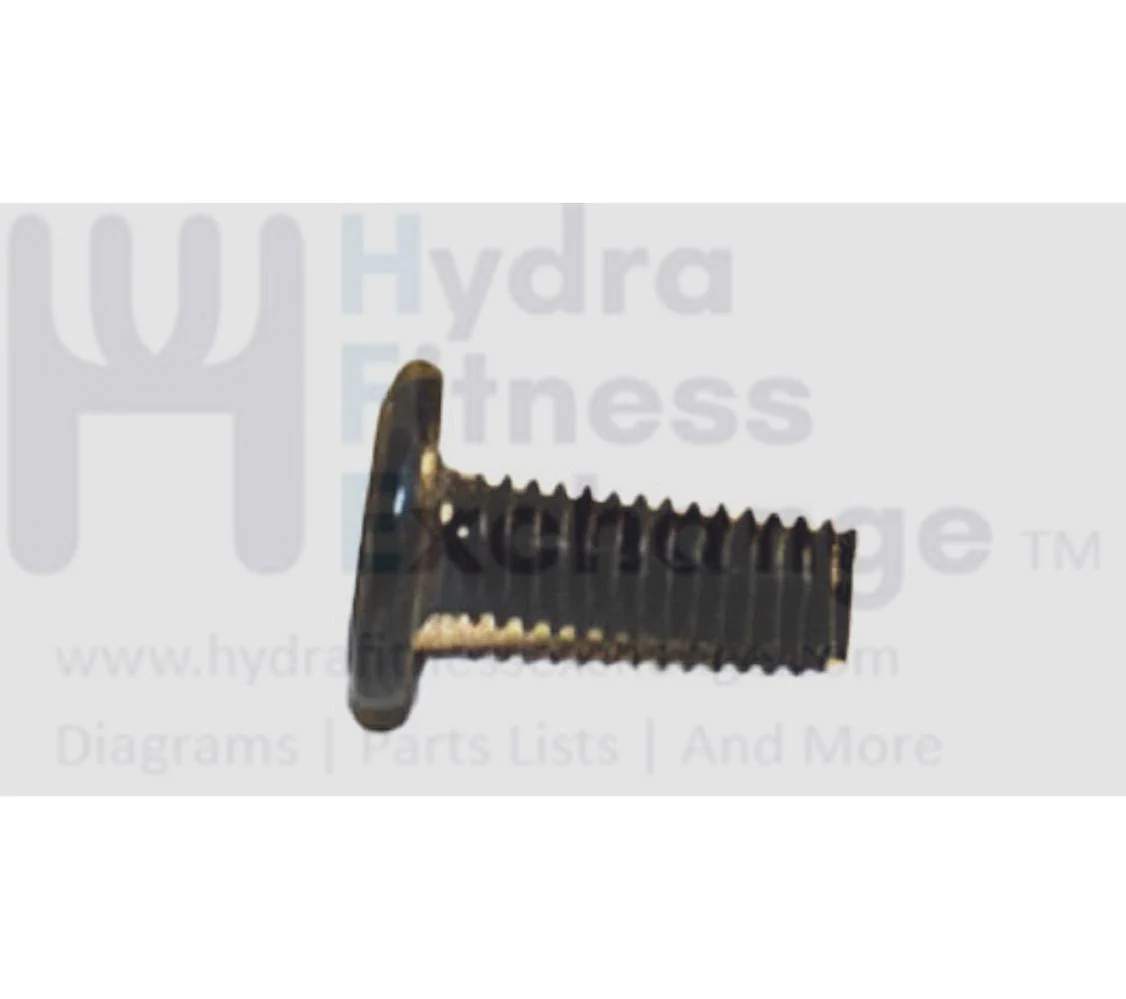 Matrix Fitness Strength System Hex Socket Screw M6 - 1.0P x 16L 004706-A