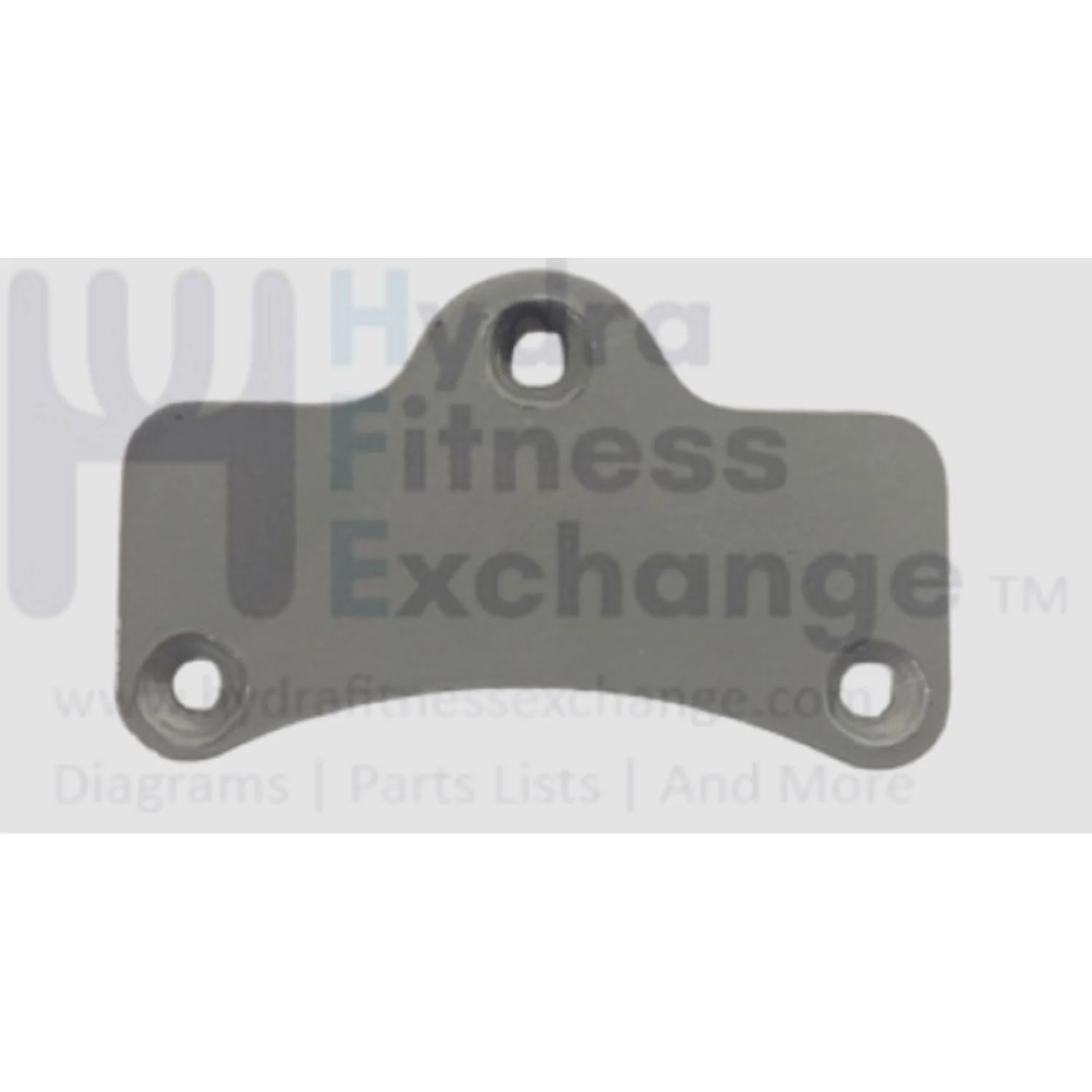 Matrix Fitness Strength System Iced Silver Fixing Plate 1000413459