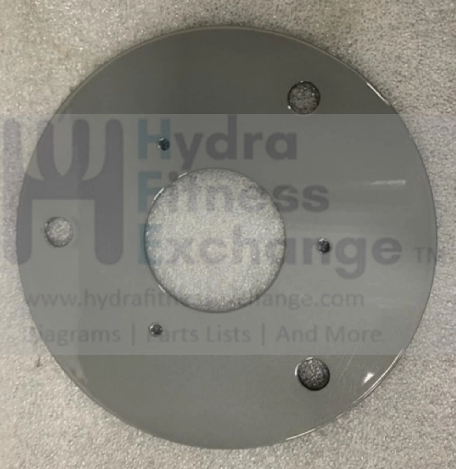 Matrix Fitness Strength System Iced Silver Fixing Plate Cam 1000413439 - Image 2