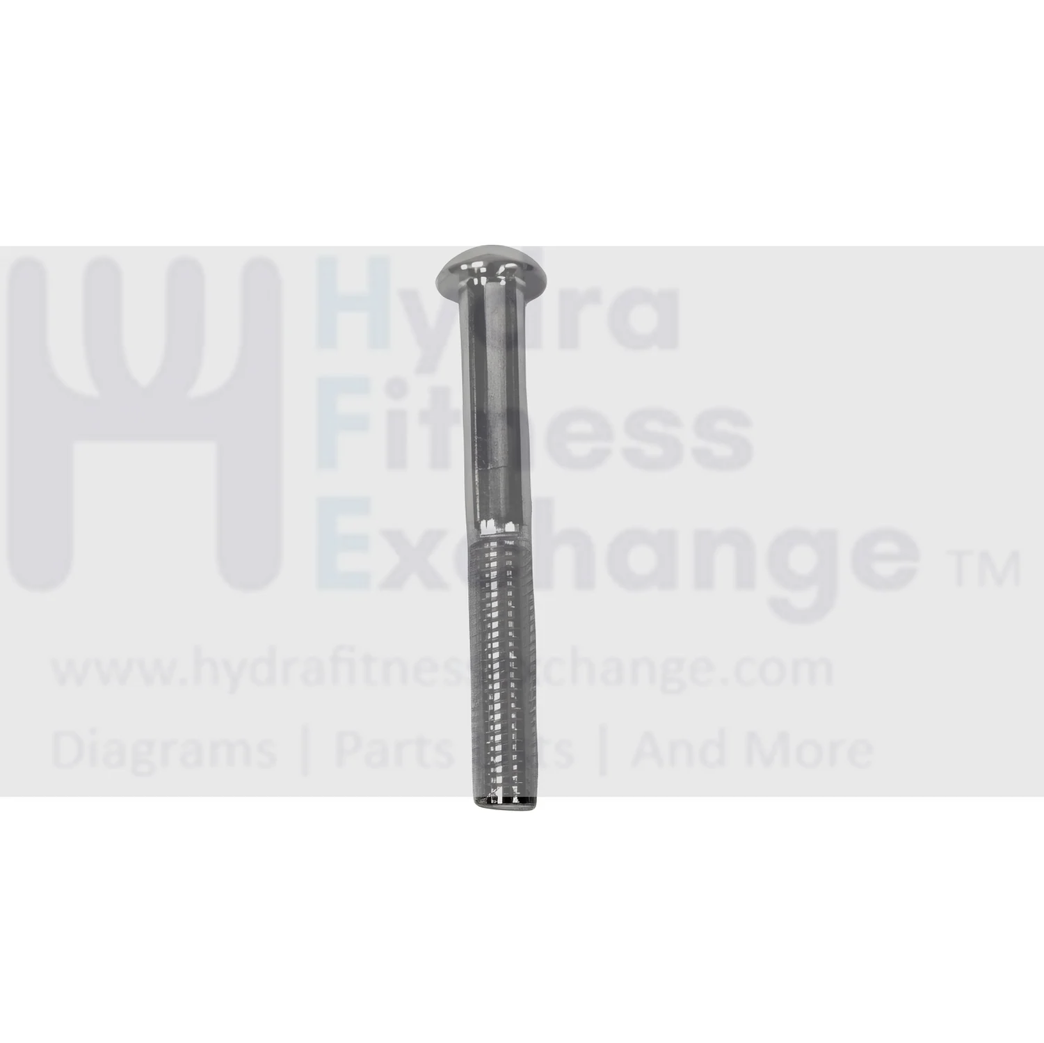 Matrix Fitness Strength System Oval Hex Socket Screw M10 - 1.5P x 100L 004804-00
