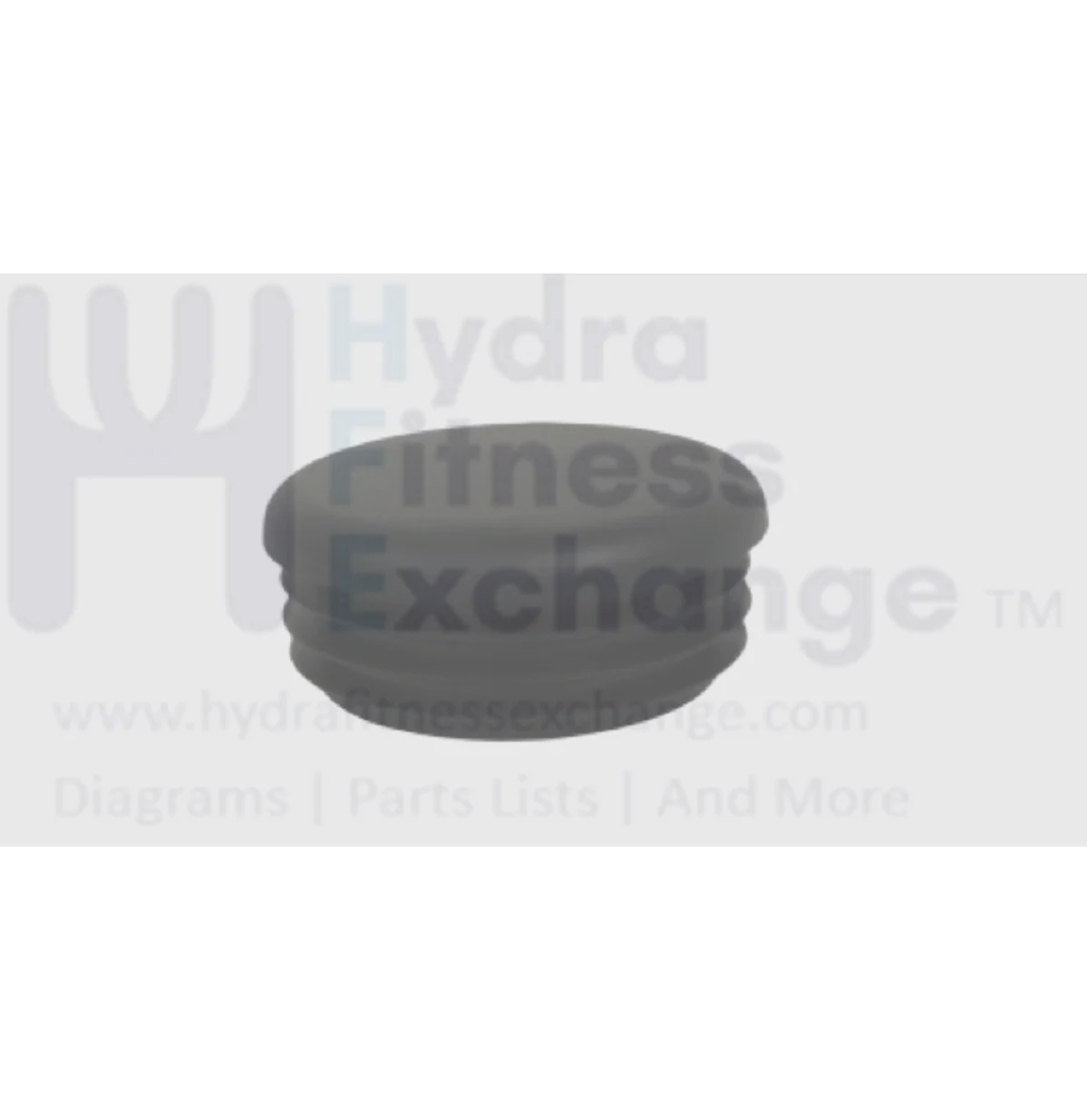 Matrix Fitness Strength System Round End Cap 2" 1000310083