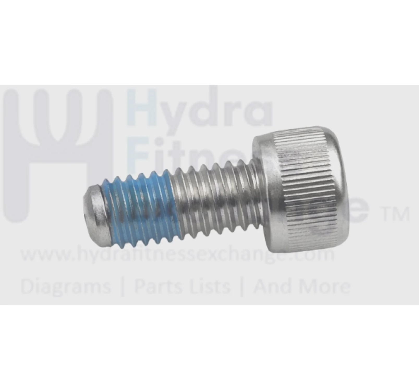 Matrix Fitness Strength System Round Head Hex Socket Bolt Screw M8 x 16 004476-Z