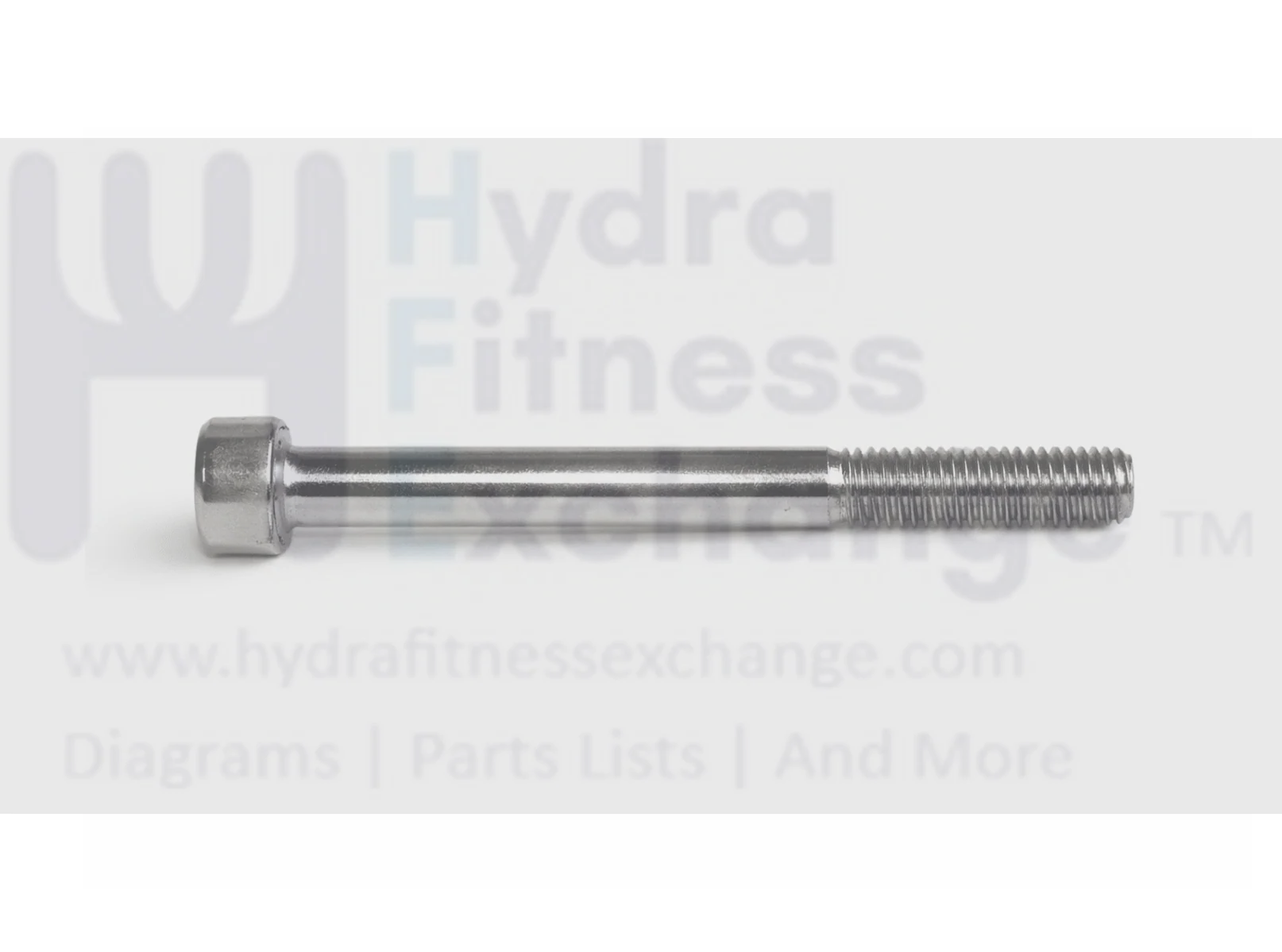 Matrix Fitness Strength System Round Head Hex Socket Screw M10 - 1.5P x 105L 1000105259