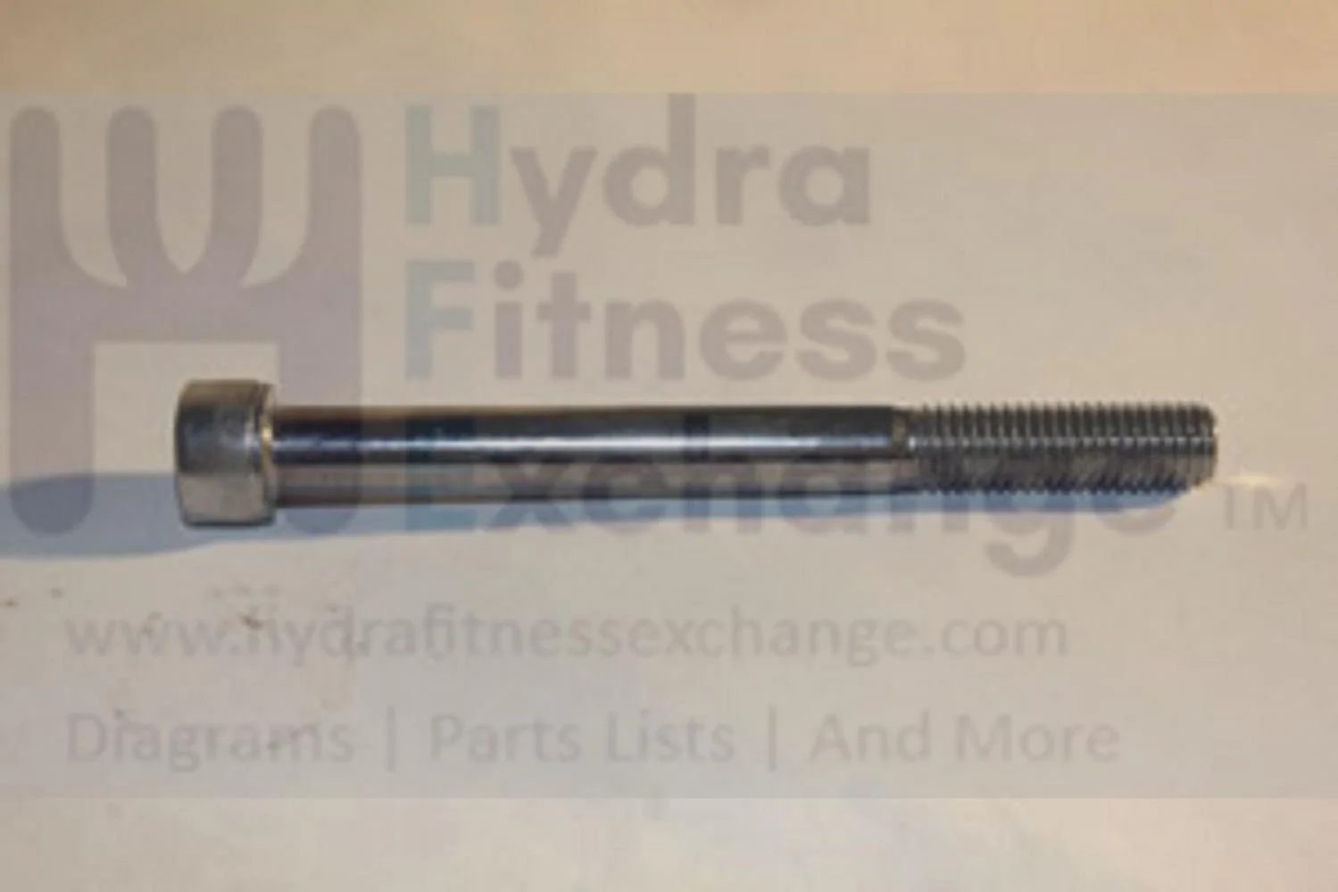 Matrix Fitness Strength System Round Head Hex Socket Screw M10 - 1.5P x 105L 1000105259 - Image 2