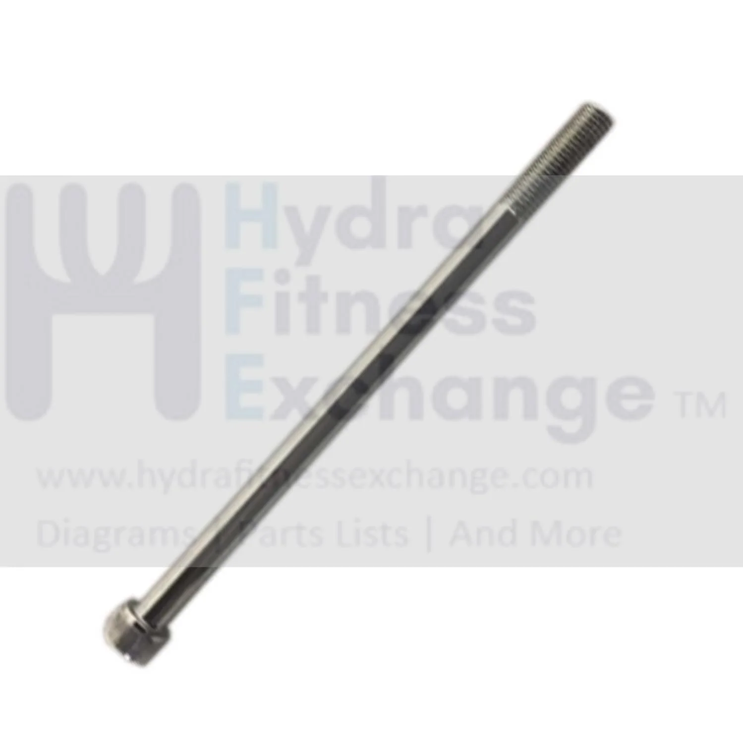 Matrix Fitness Strength System Round Head Hex Socket Screw M10 - 1.5P x 180L/35L 1000397921