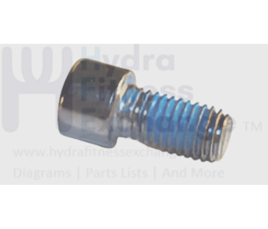 Matrix Fitness Strength System Round Head Hex Socket Screw M10 - 1.5P x 20L 1000211532