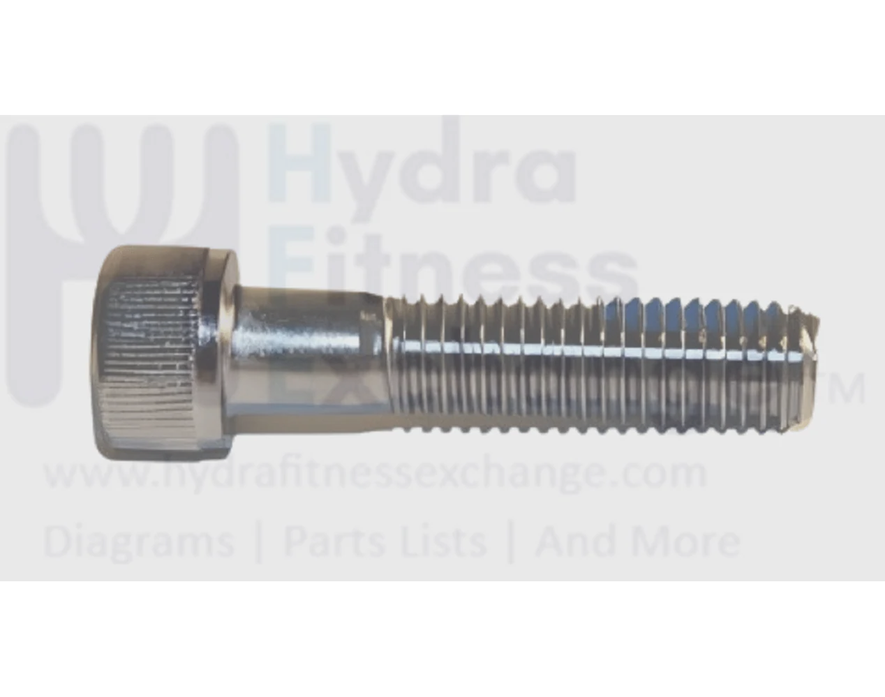 Matrix Fitness Strength System Round Head Hex Socket Screw M10 - 1.5P x 45L 1000104692