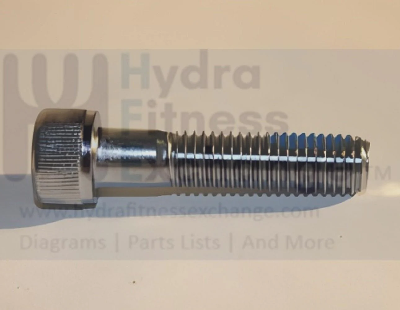 Matrix Fitness Strength System Round Head Hex Socket Screw M10 - 1.5P x 45L 1000104692 - Image 2