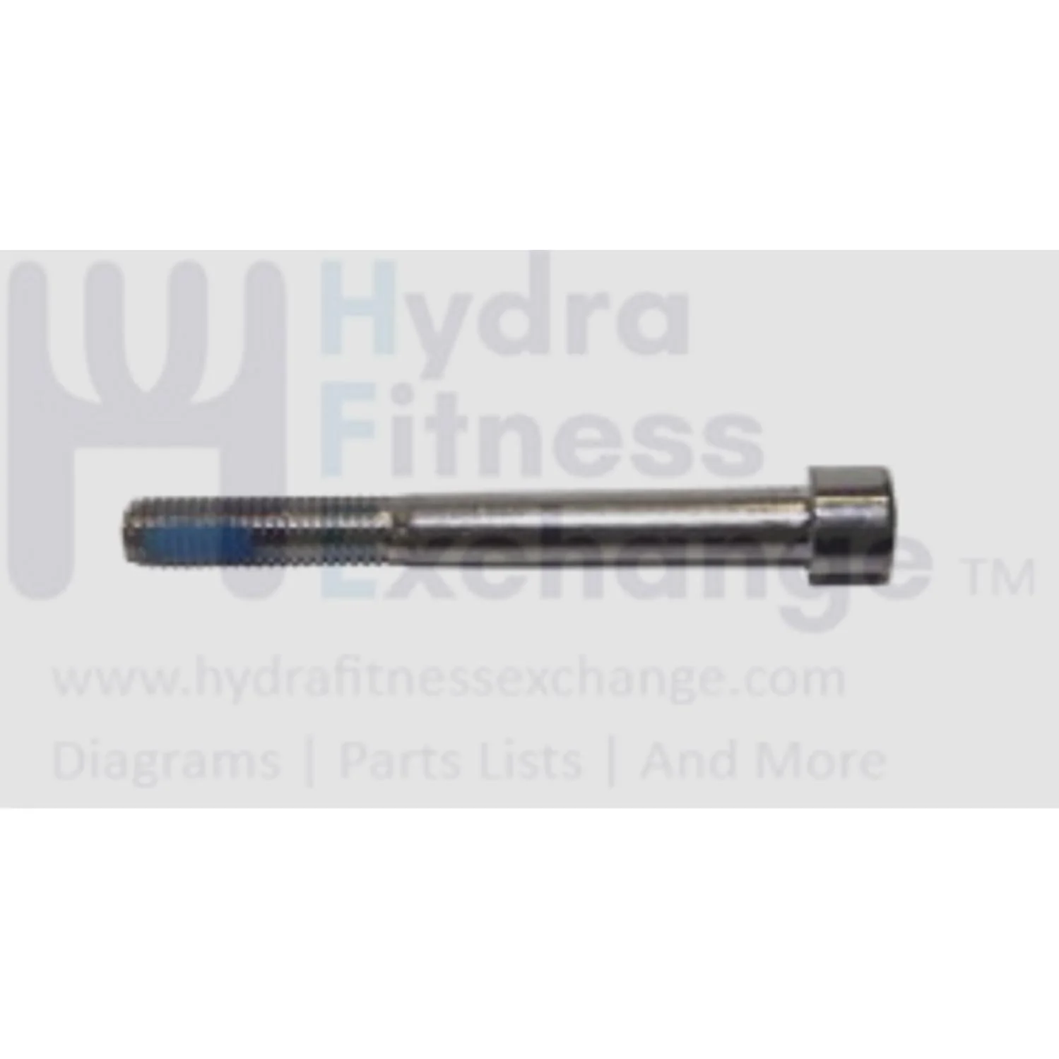 Matrix Fitness Strength System Round Head Hex Socket Screw M10 - 1.5P x 85L 1000104695