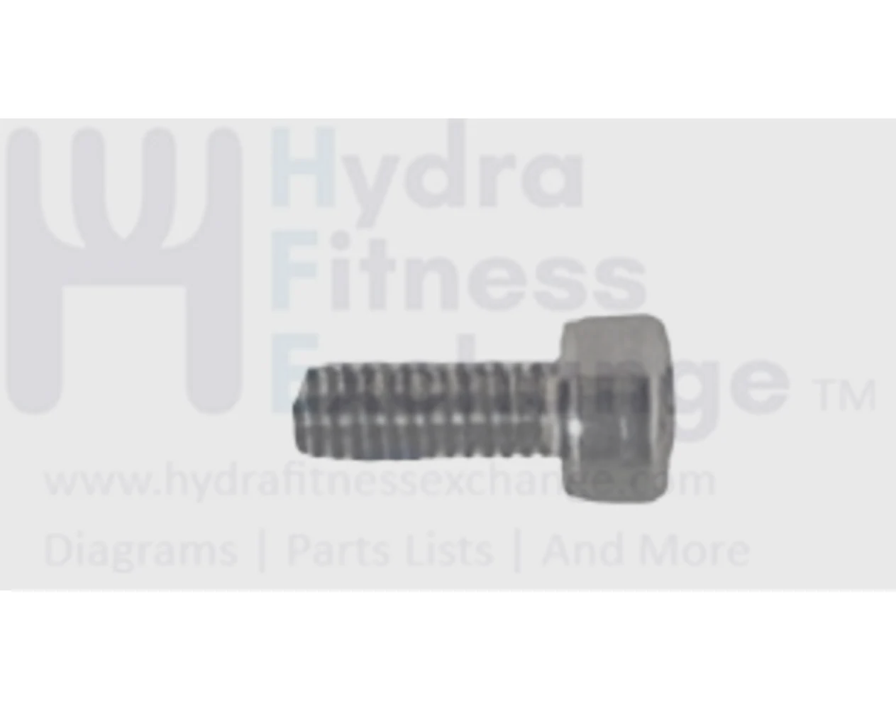 Matrix Fitness Strength System Round Head Hex Socket Screw M4 - 0.7P x 8L 1000358289