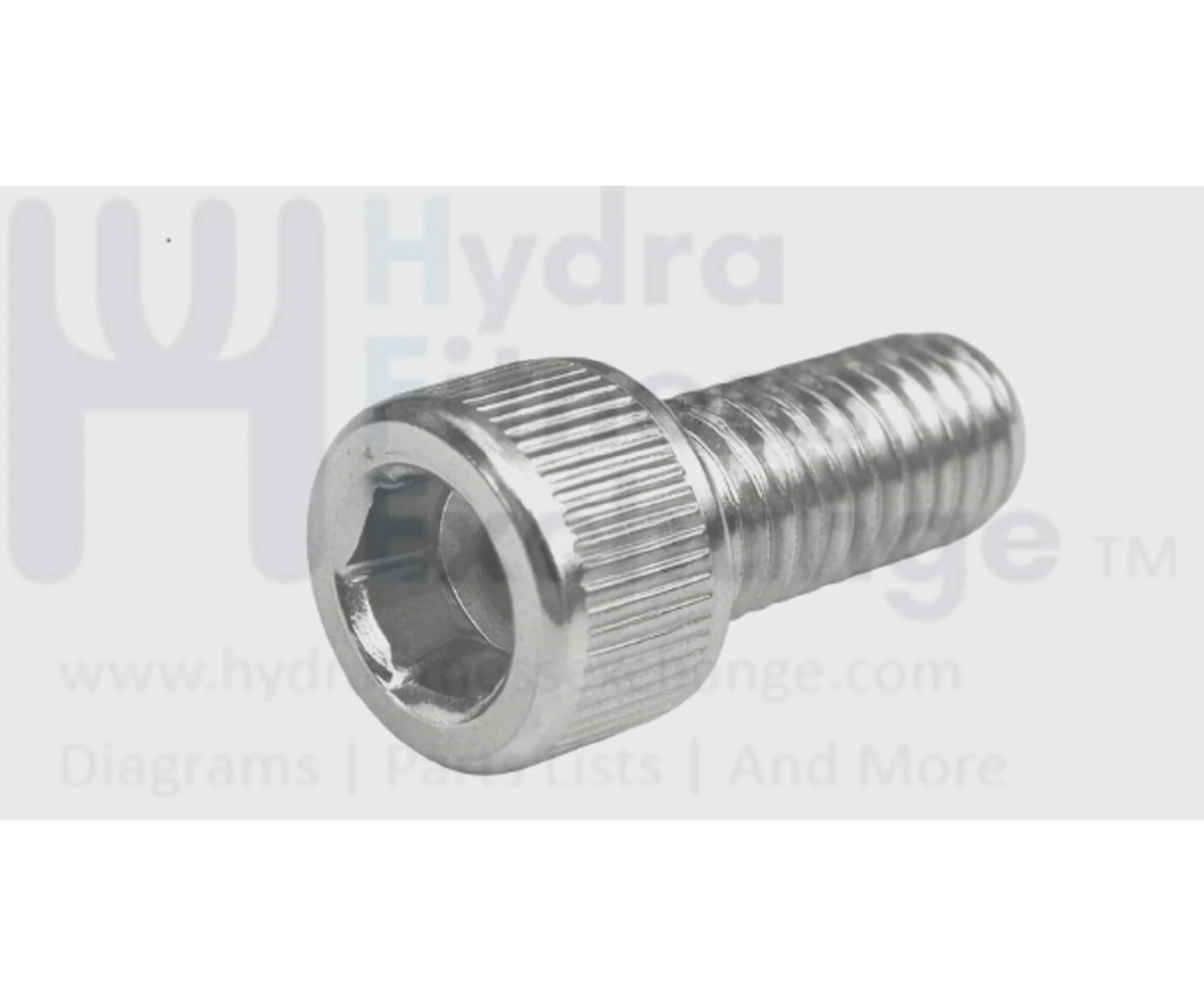 Matrix Fitness Strength System Round Head Hex Socket Screw M6 - 1.0P x 10L 049253-AA
