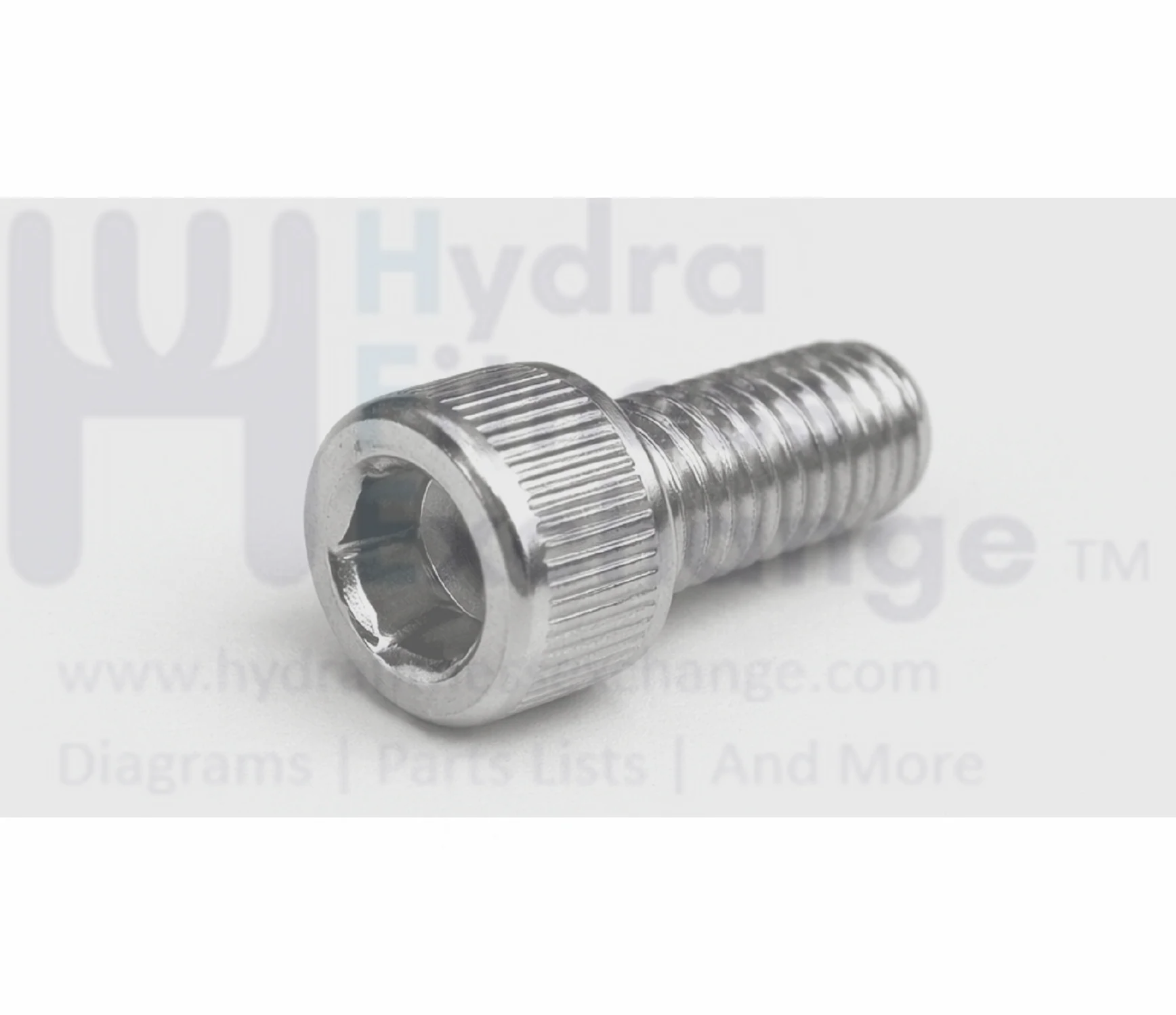 Matrix Fitness Strength System Round Head Hex Socket Screw M6 - 1.0P x 10L 049253-AA - Image 2
